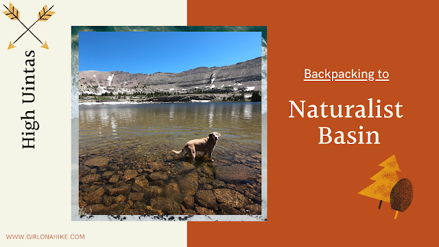 Backpacking to Naturalist Basin, Uintas