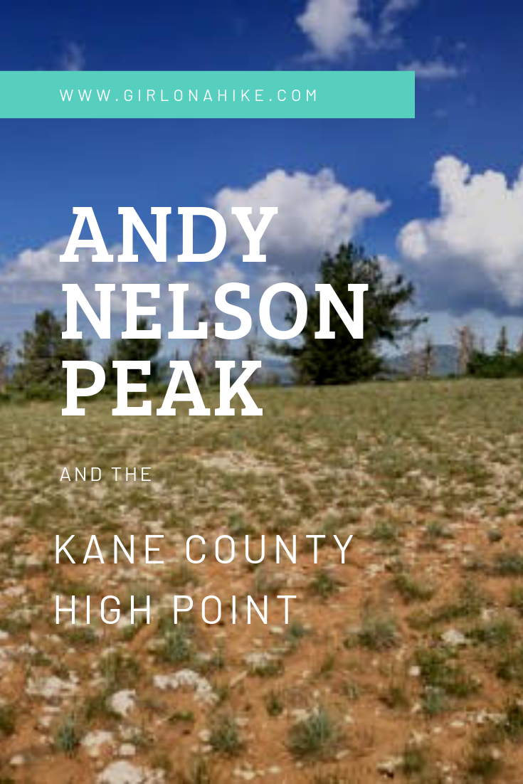 Hiking to Andy Nelson Peak & Kane County High Point