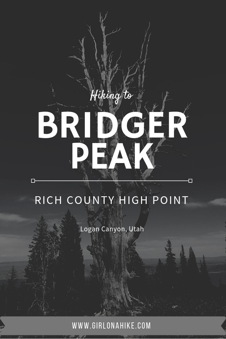 Hiking to Bridger Peak, Rich County High Point