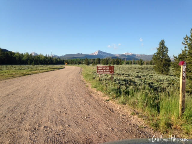 Backpacking to Amethyst Lake, Uintas, Hiking in Utah with Dogs