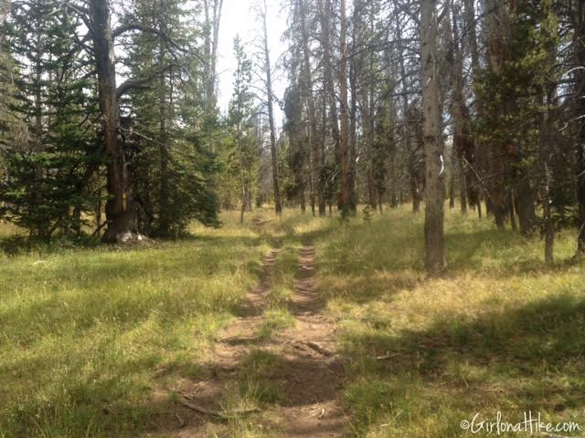 Backpacking to Red Castle Lakes, Uintas