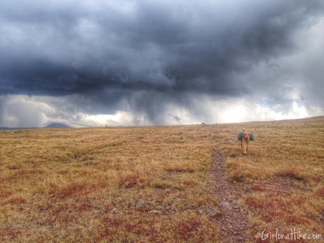 Backpacking to Red Castle Lakes, Uintas