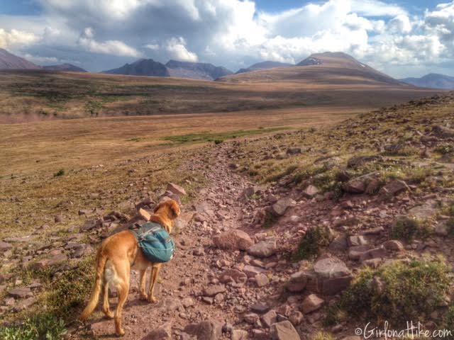 Backpacking to Red Castle Lakes, Uintas