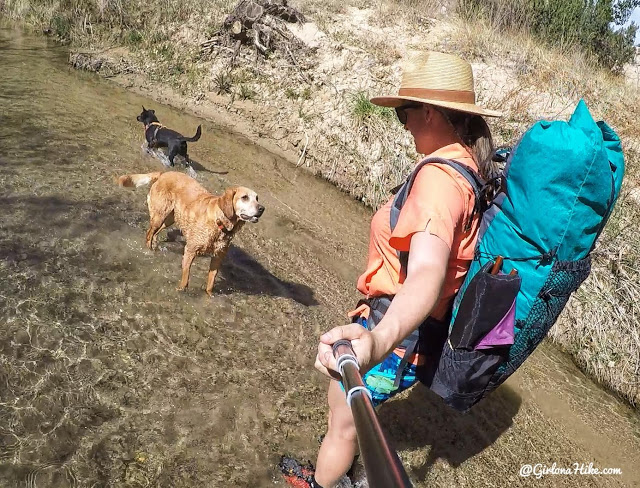 Backpacking the Escalante River Trail