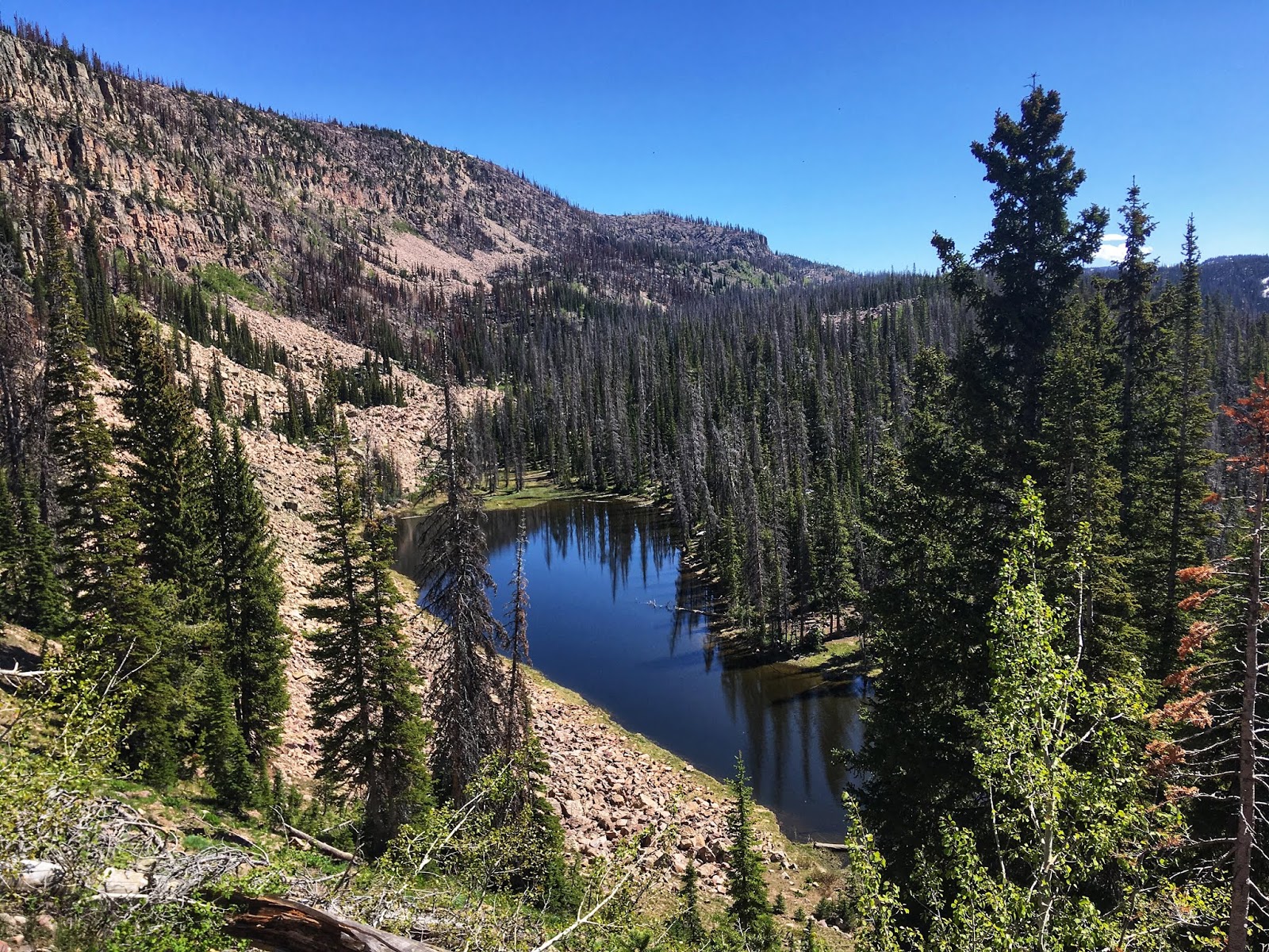 Backpacking the Yellow Pine Trail, Uintas