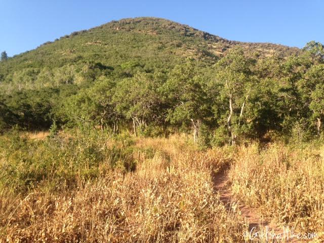 Hiking to Mt. Aire