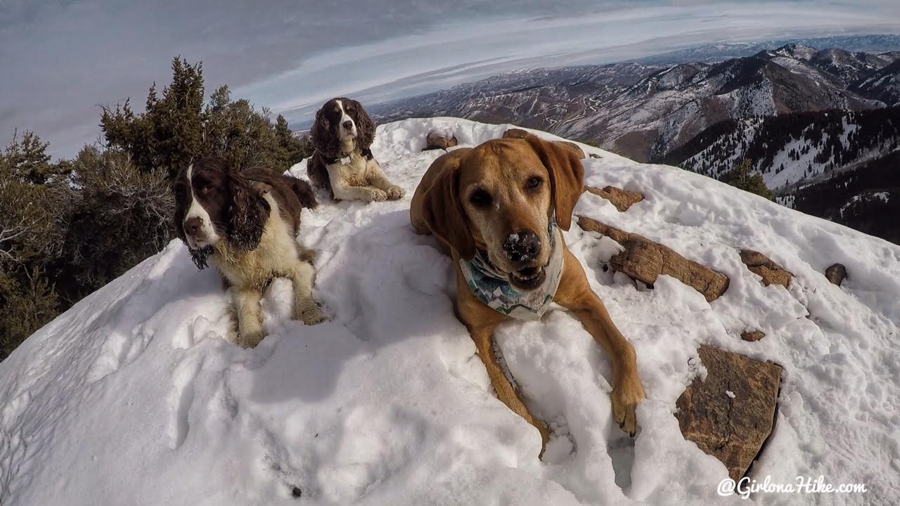 Hiking to Mt. Aire in Winter, Millcreek Canyon