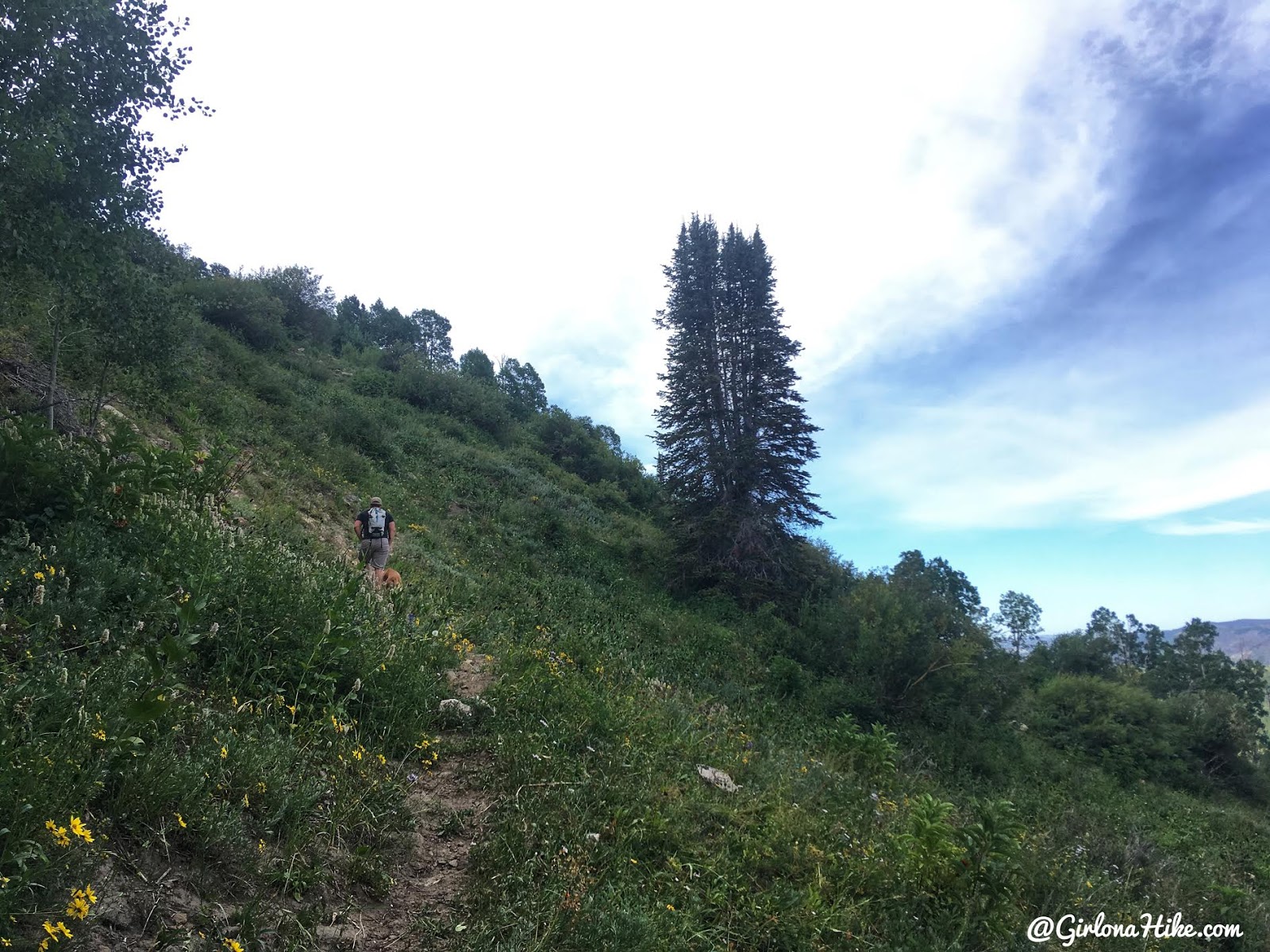 Hiking to East Mountain, Emery County High Point