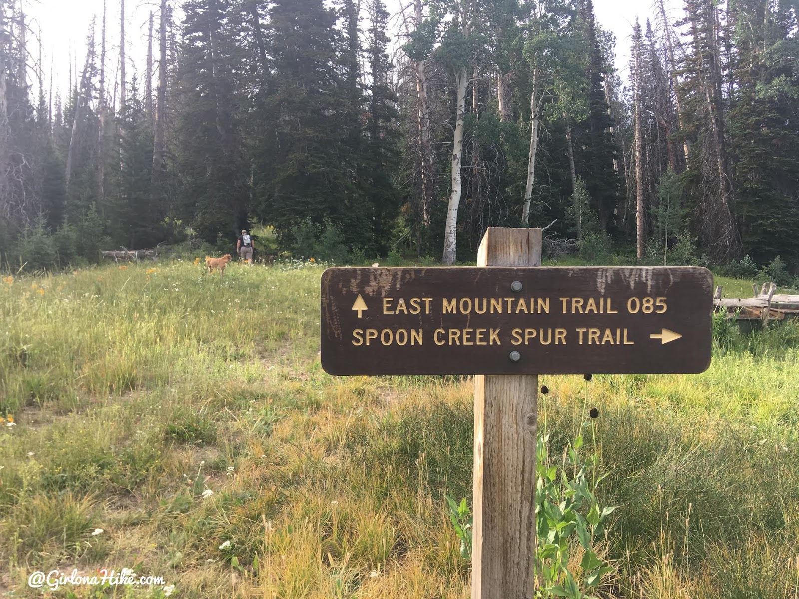 Hiking to East Mountain, Emery County High Point