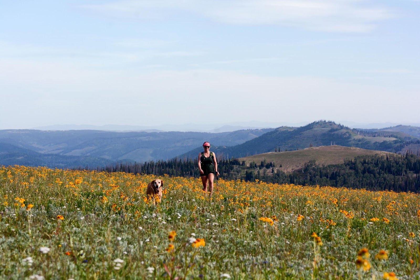 Hiking to East Mountain, Emery County High Point