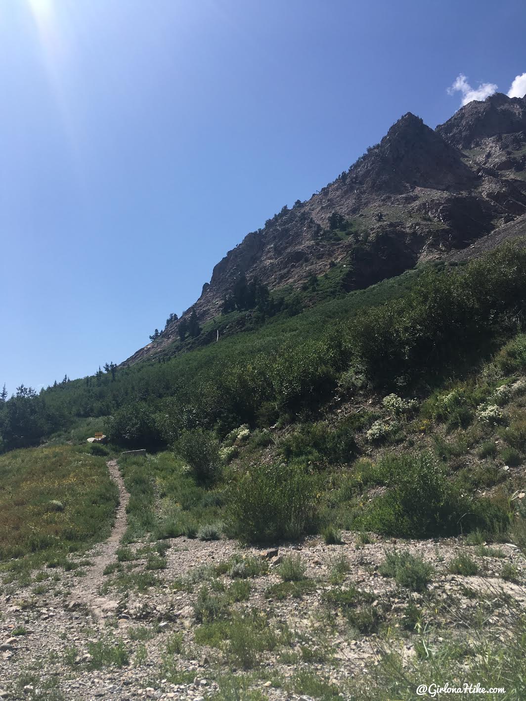 Climbing the South Ridge of Mt.Superior