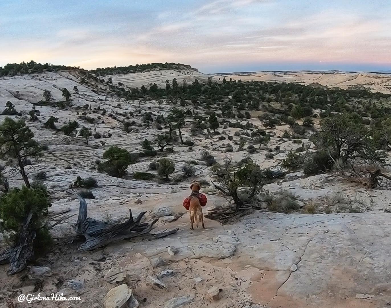 Backpacking Death Hollow, Escalante, Grand Staircase Escalante National Monument