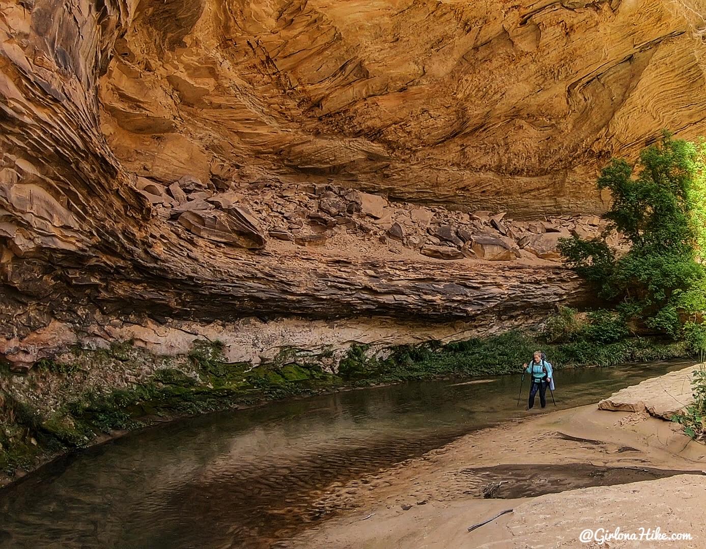 Backpacking Death Hollow, Escalante, Grand Staircase Escalante National Monument