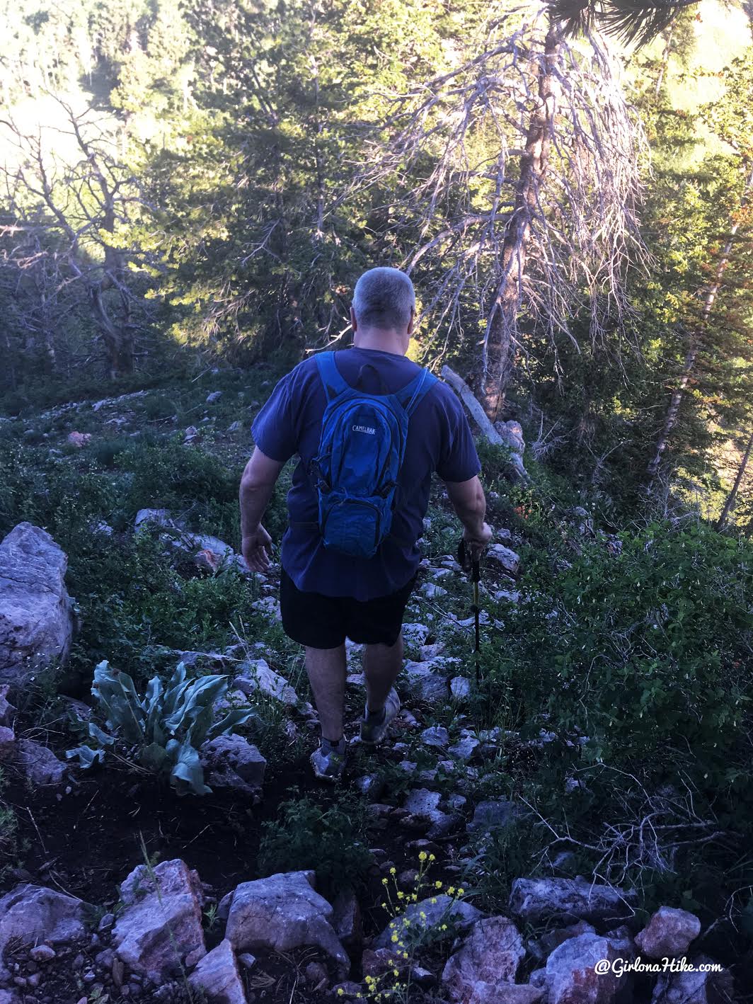 Hiking to Mine Camp Peak, Millard County High Point, Utah county high points