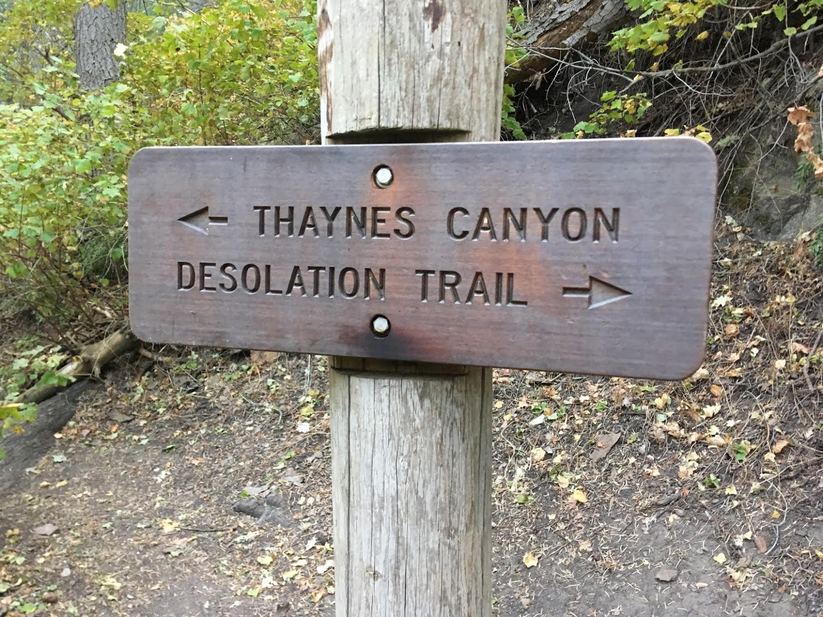 Hiking to Desolation Overlook, Hiking to the Salt Lake Overlook, Millcreek Canyon