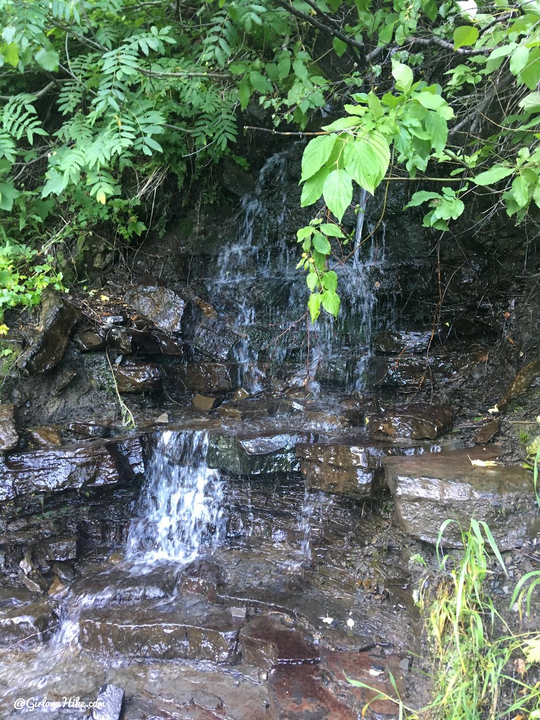 Hiking to Scout Falls - In Summer!