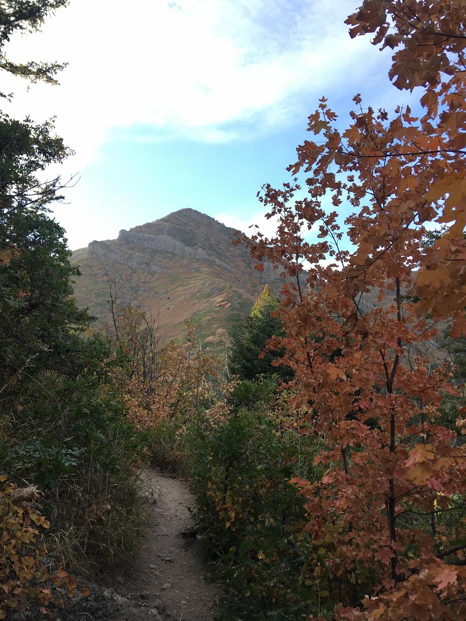 Hiking to Desolation Overlook, Hiking to the Salt Lake Overlook, Millcreek Canyon