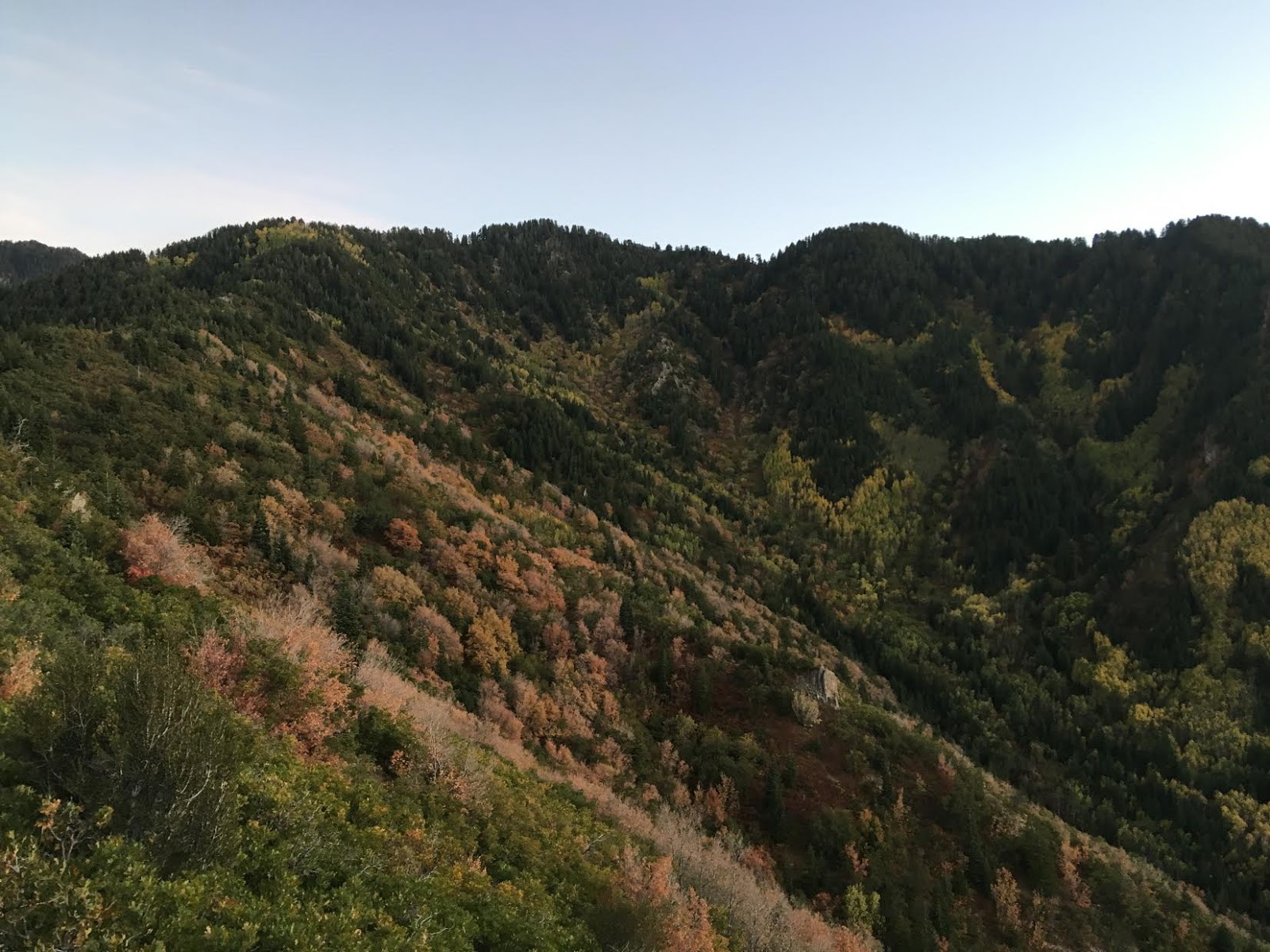 Hiking to Desolation Overlook, Hiking to the Salt Lake Overlook, Millcreek Canyon