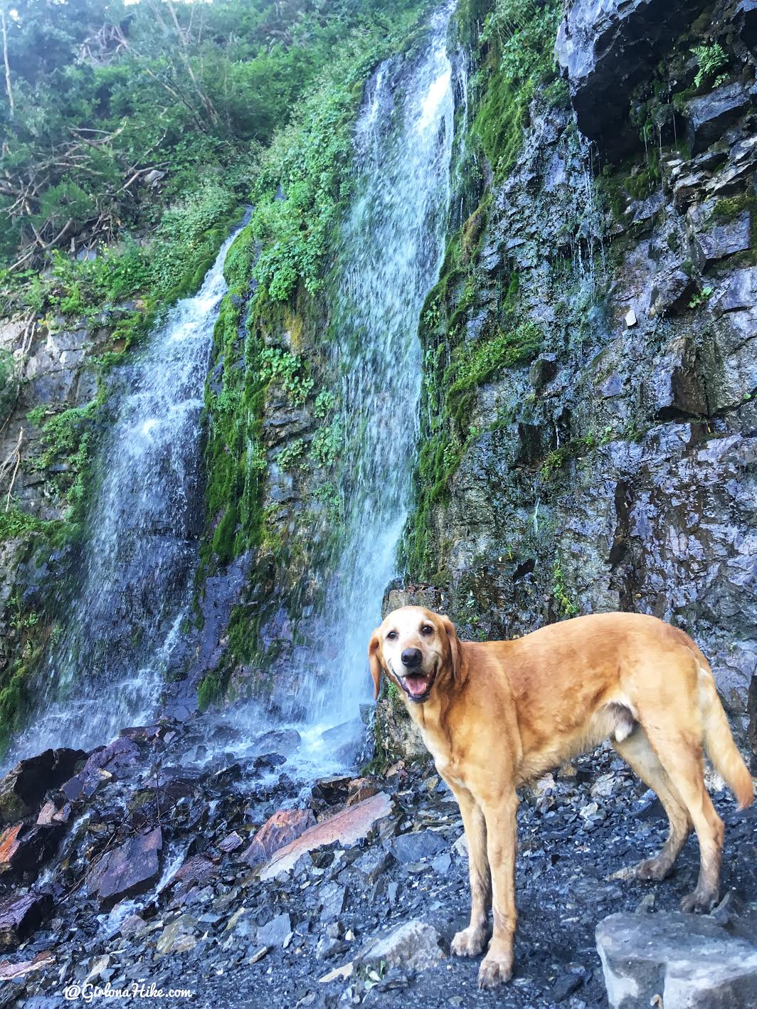 Hiking to Scout Falls - In Summer!