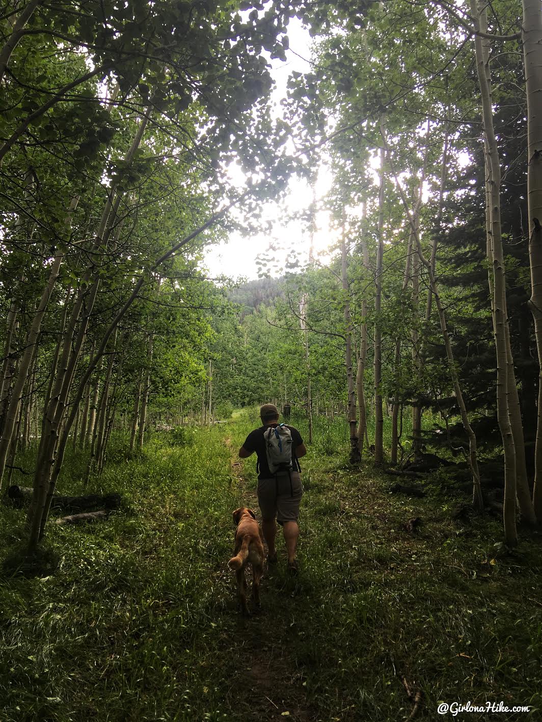 Hiking to East Mountain, Emery County High Point