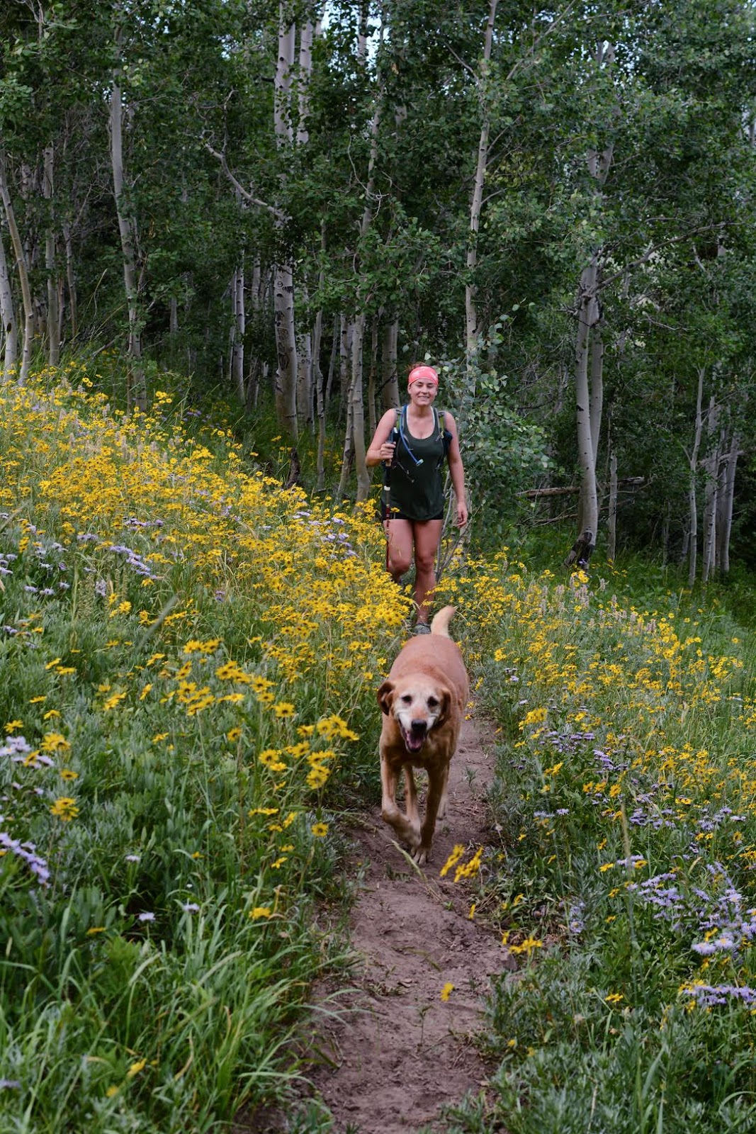 Hiking to East Mountain, Emery County High Point