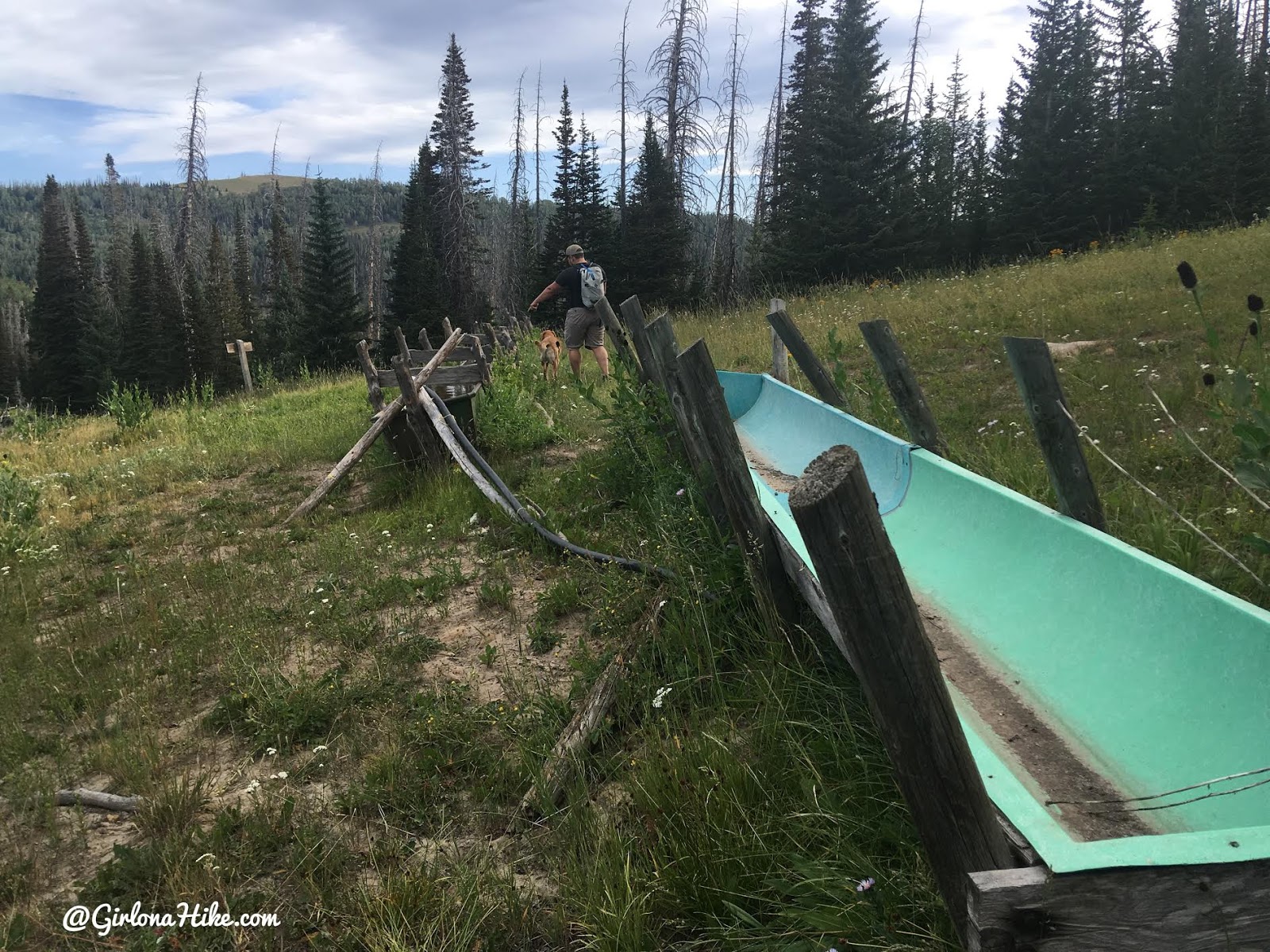 Hiking to East Mountain, Emery County High Point