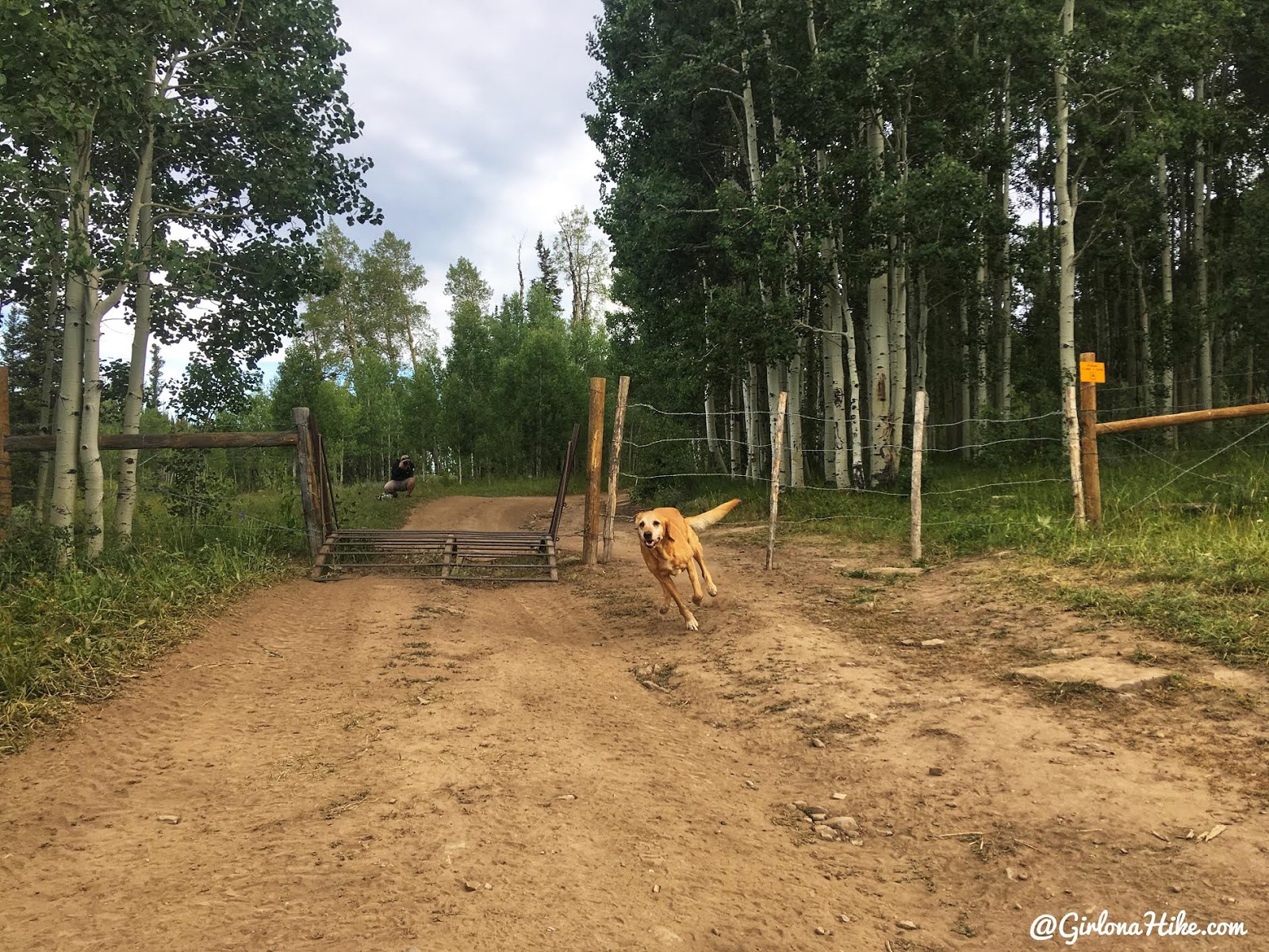 Hiking to East Mountain, Emery County High Point