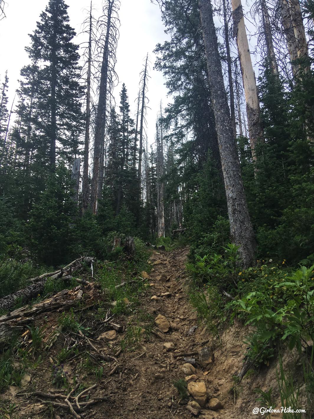 Hiking to East Mountain, Emery County High Point