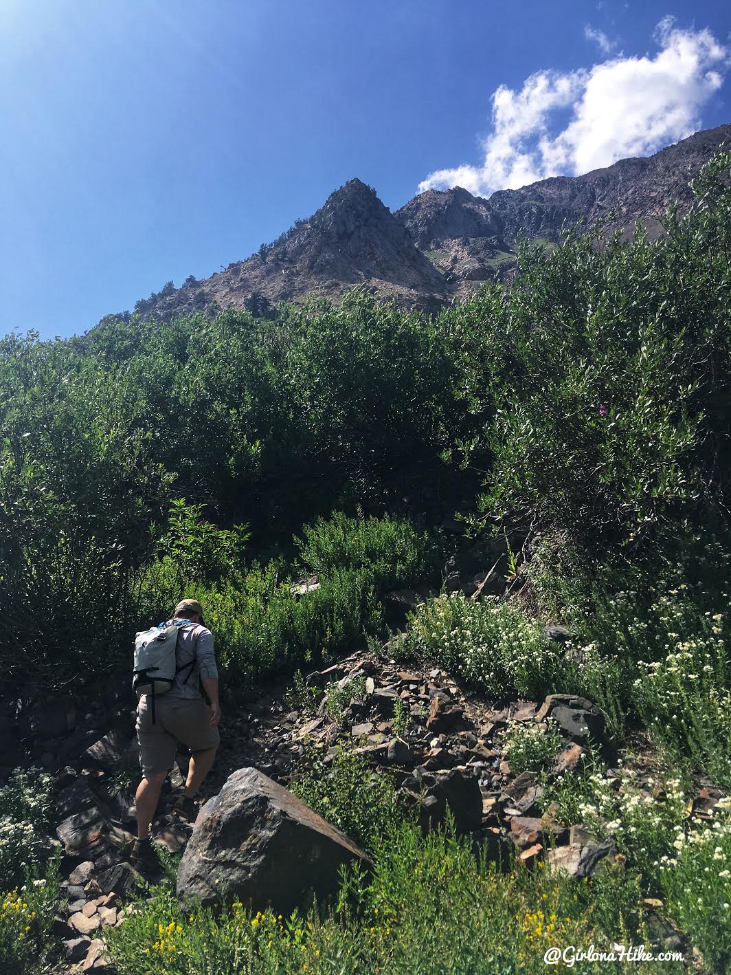 Climbing the South Ridge of Mt.Superior