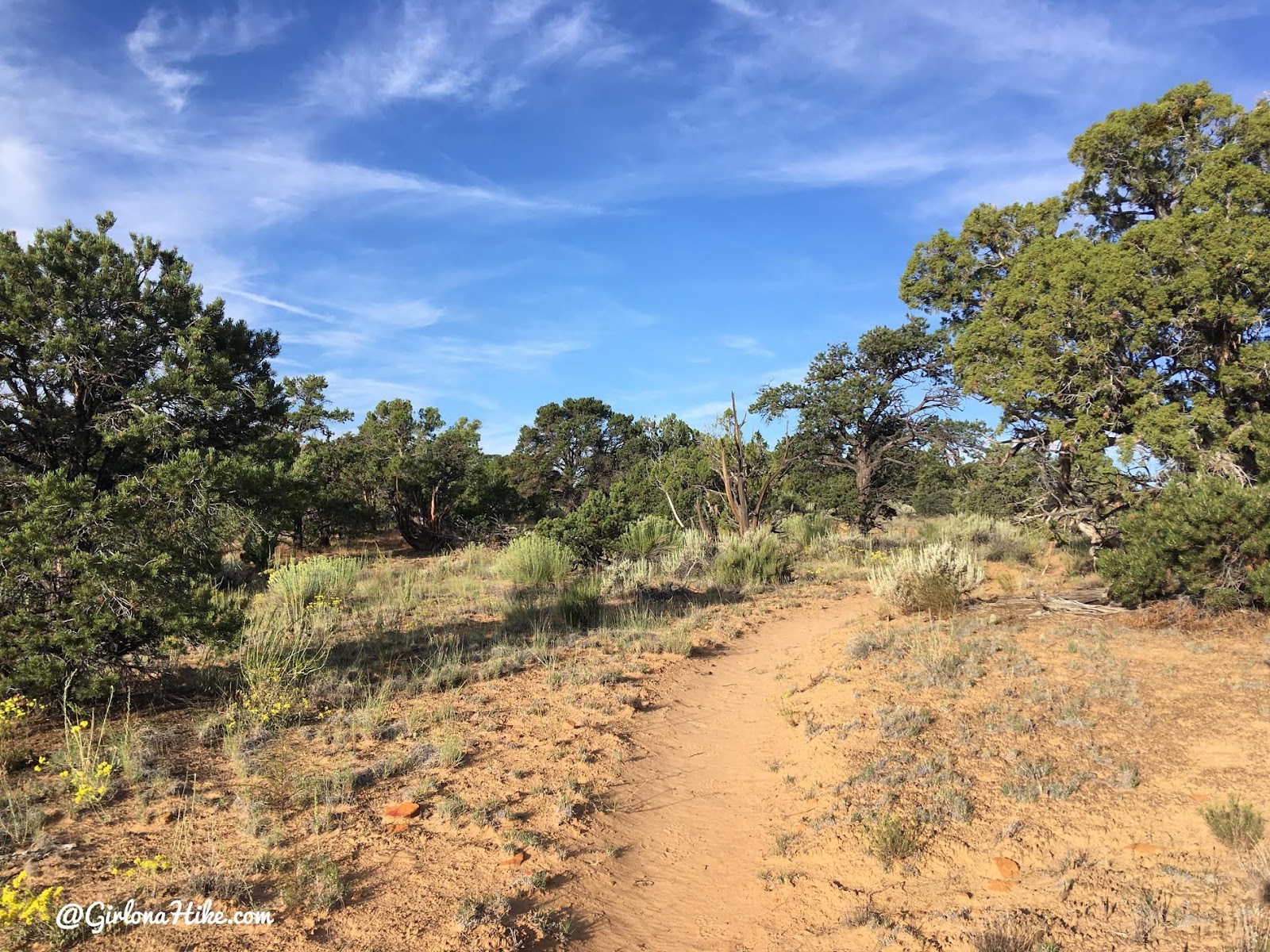 Backpacking Death Hollow, Escalante, Grand Staircase Escalante National Monument