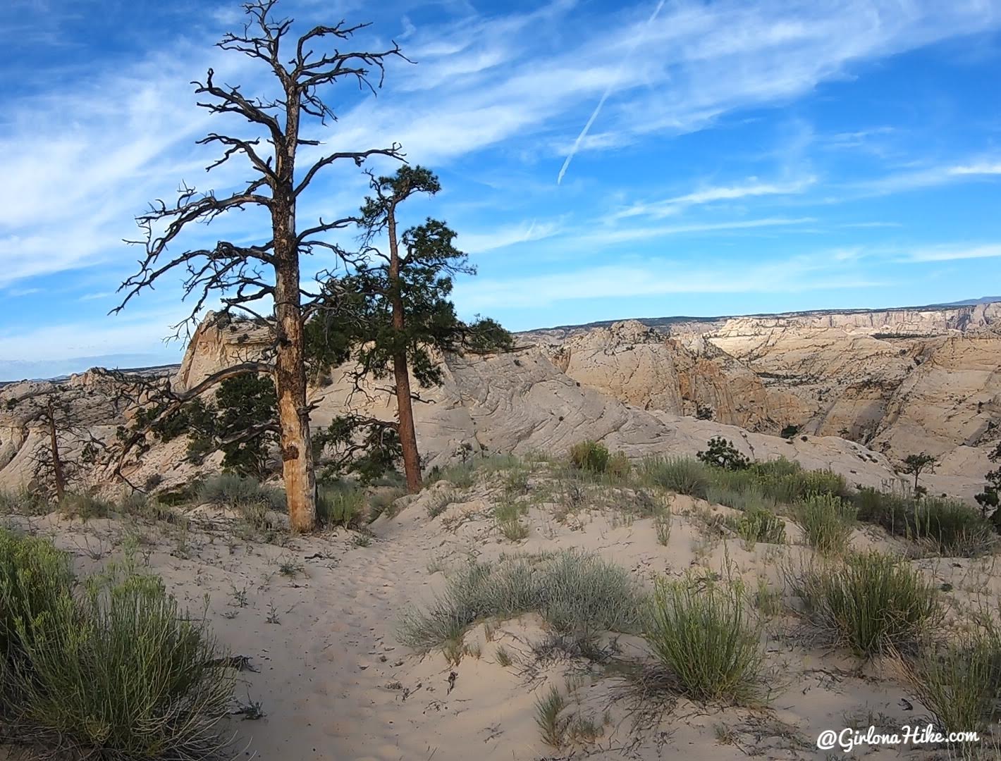 Backpacking Death Hollow, Escalante, Grand Staircase Escalante National Monument