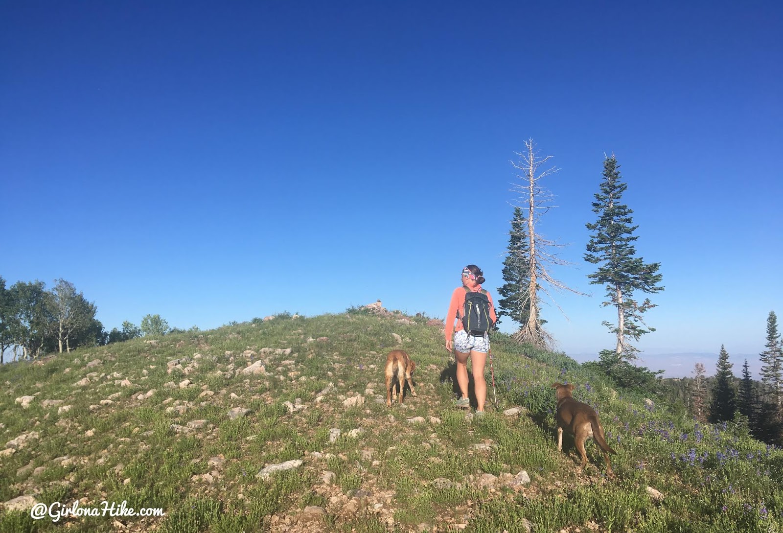 Hiking to Mine Camp Peak, Millard County High Point, Utah county high points