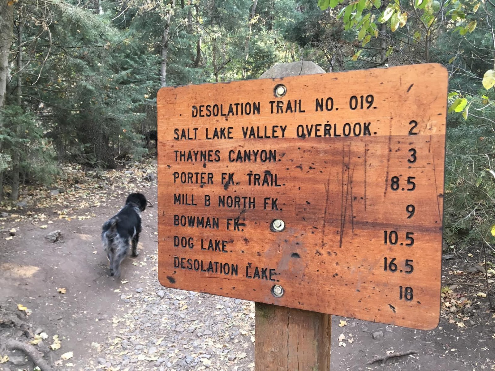 Hiking to Desolation Overlook, Hiking to the Salt Lake Overlook, Millcreek Canyon