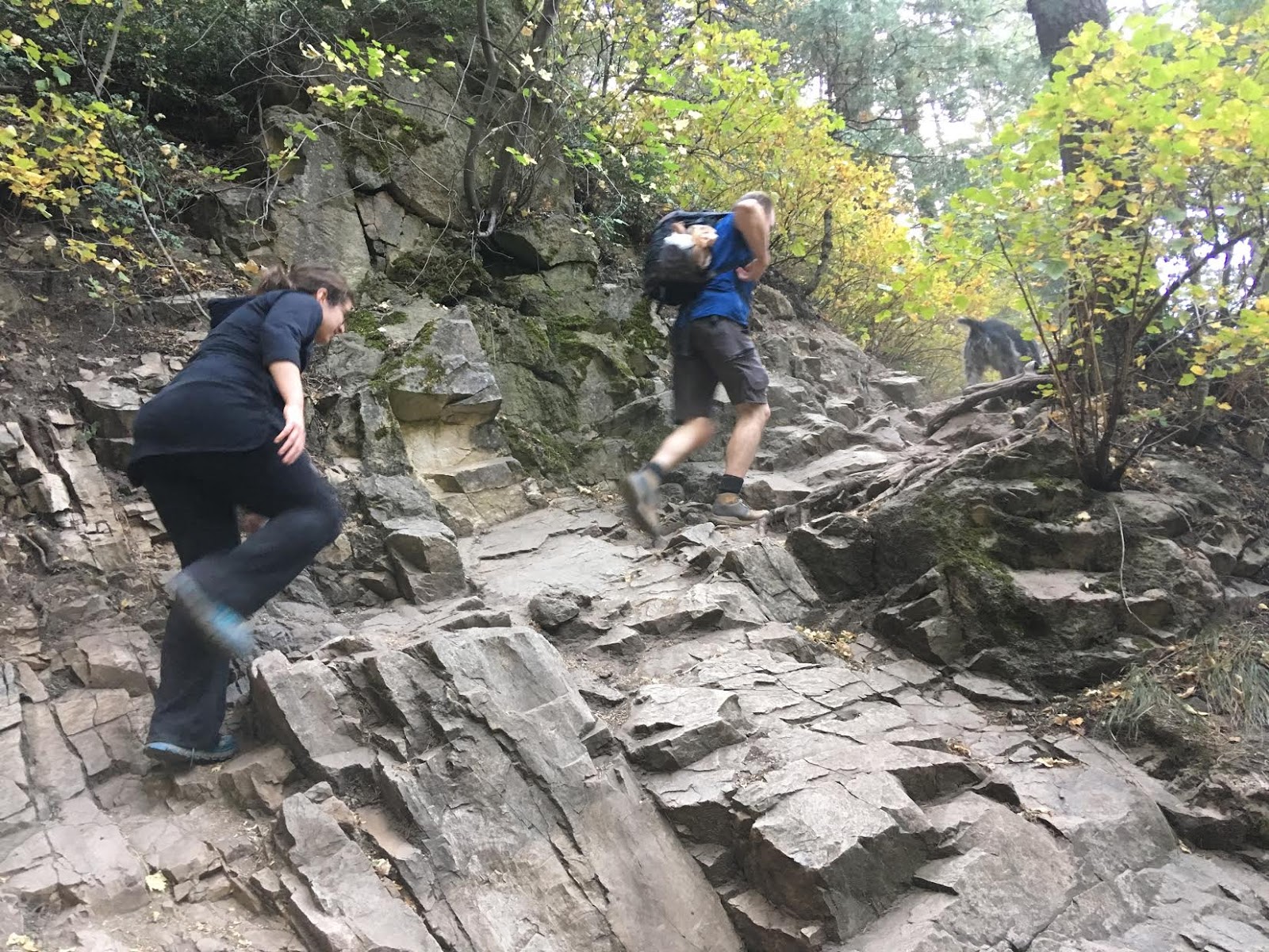 Hiking to Desolation Overlook, Hiking to the Salt Lake Overlook, Millcreek Canyon