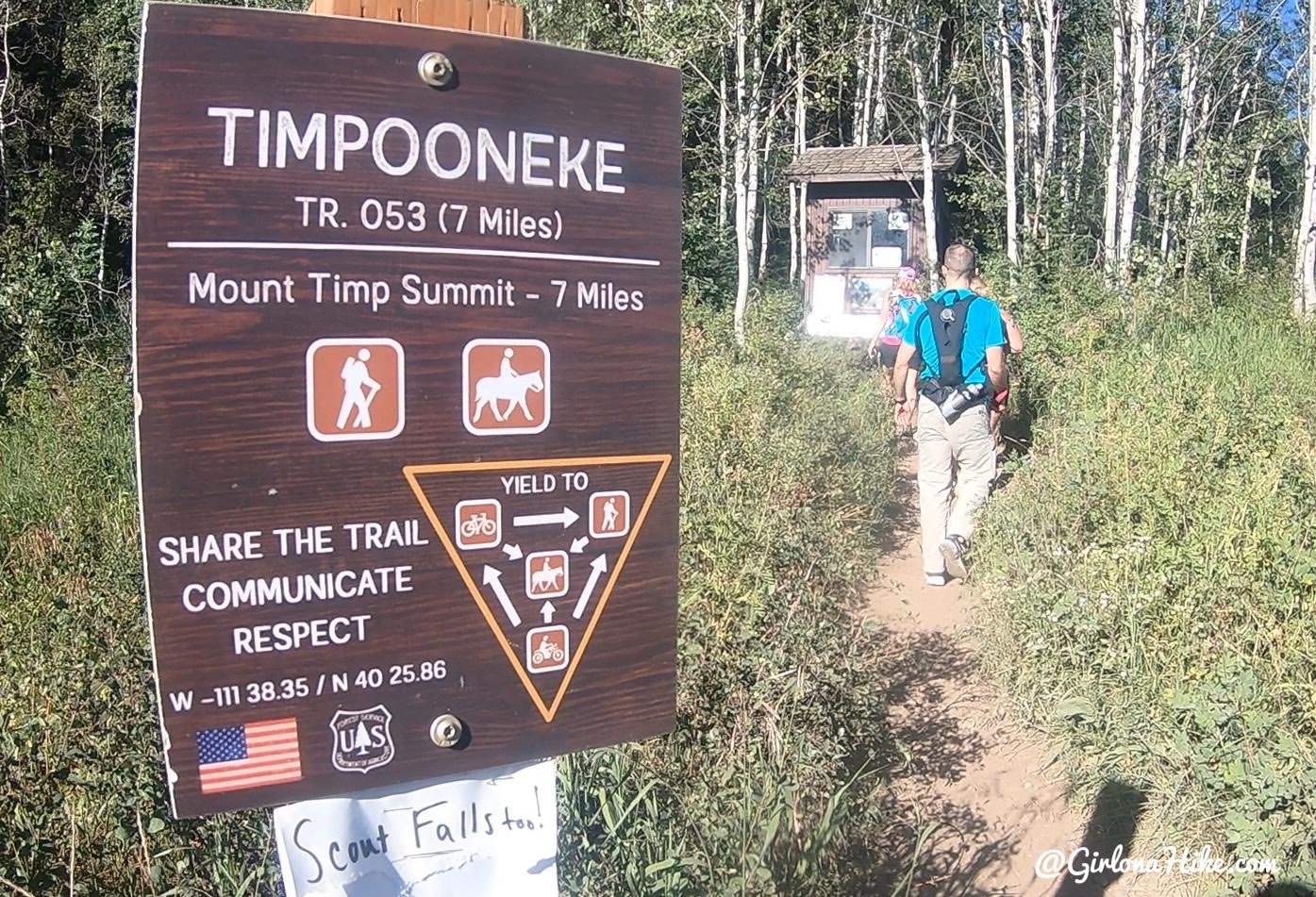 Hiking to Scout Falls - In Summer!