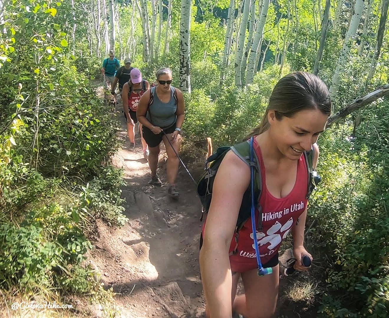 Hiking to Scout Falls - In Summer!