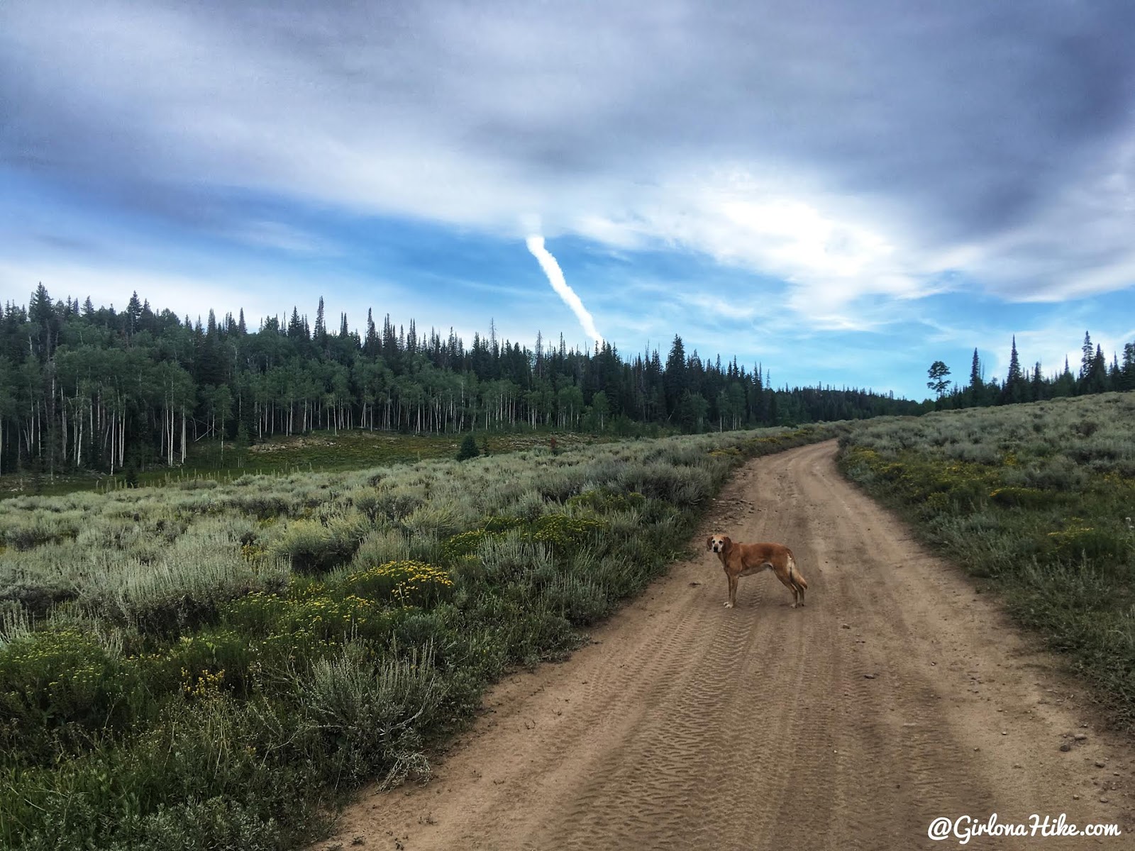 Hiking to East Mountain, Emery County High Point