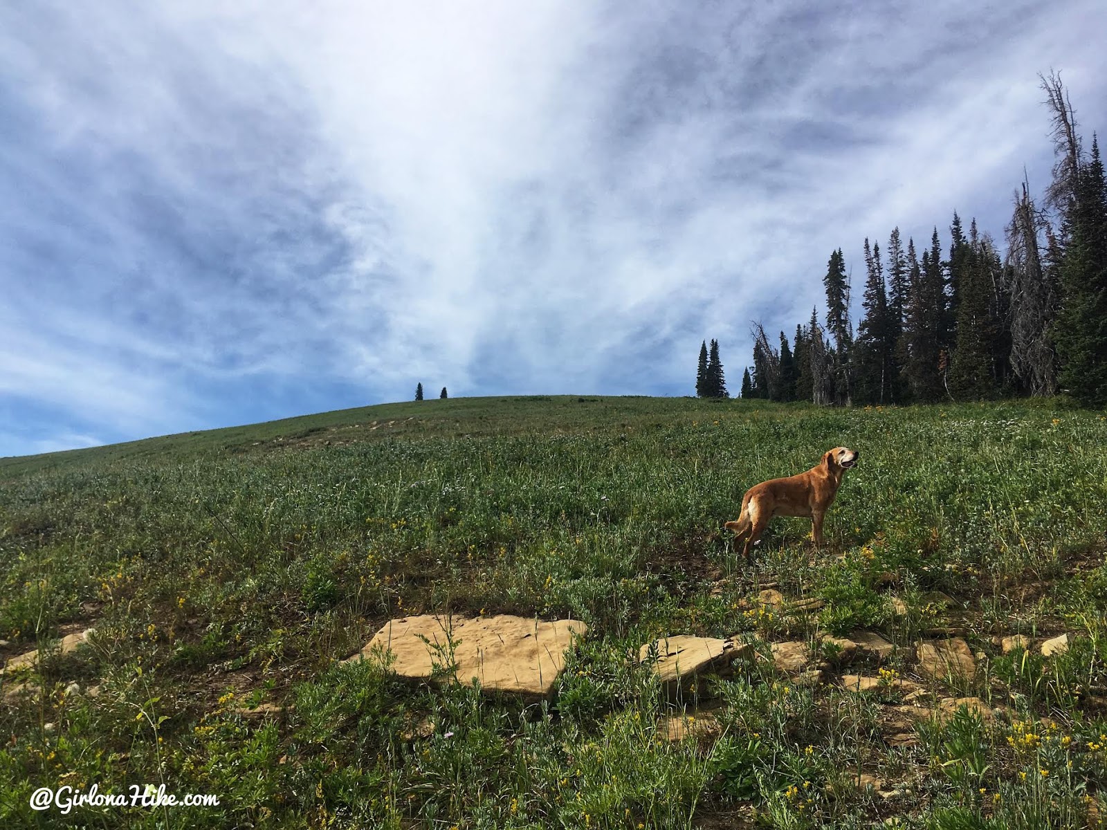 Hiking to East Mountain, Emery County High Point