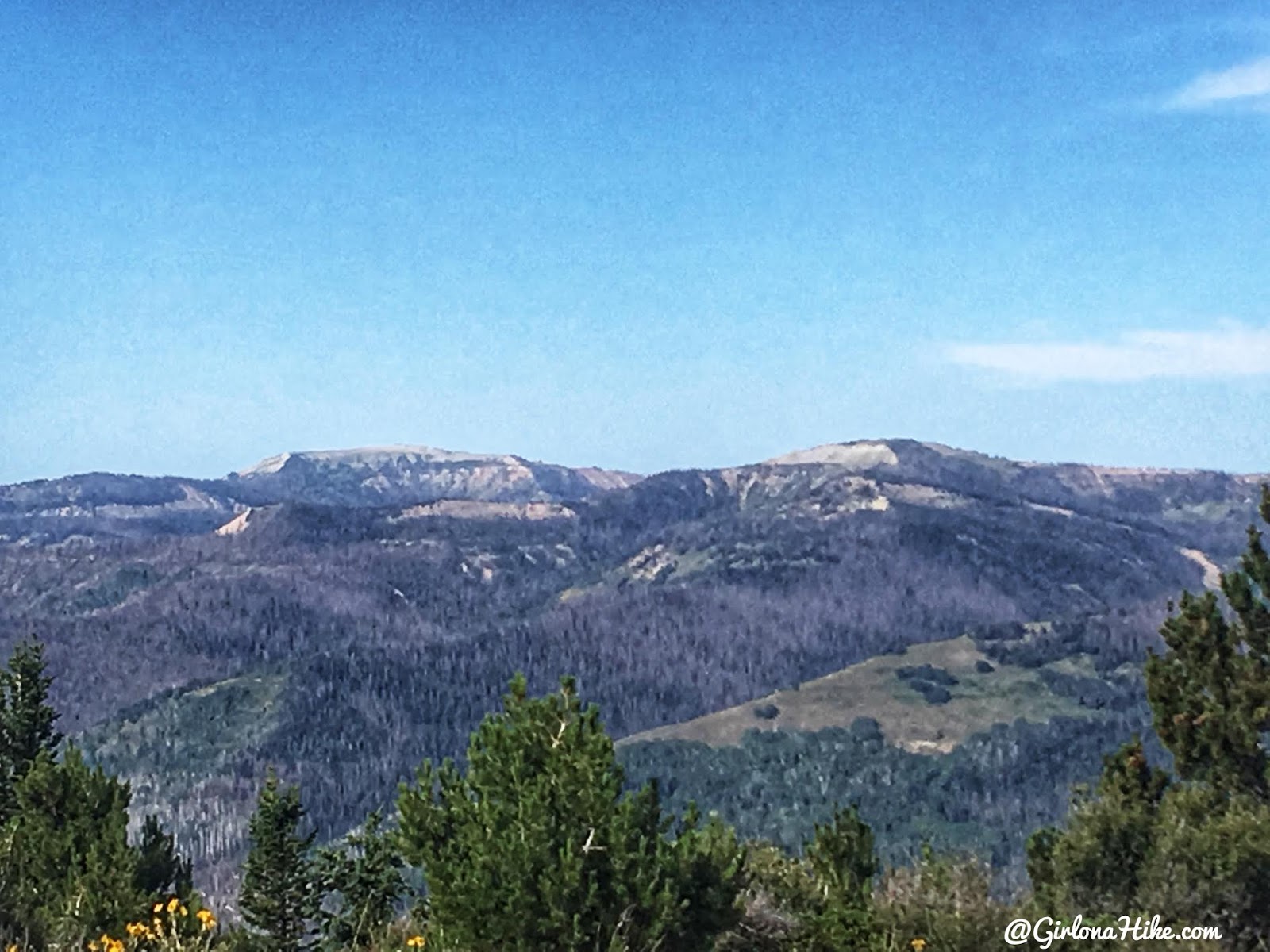 Hiking to East Mountain, Emery County High Point