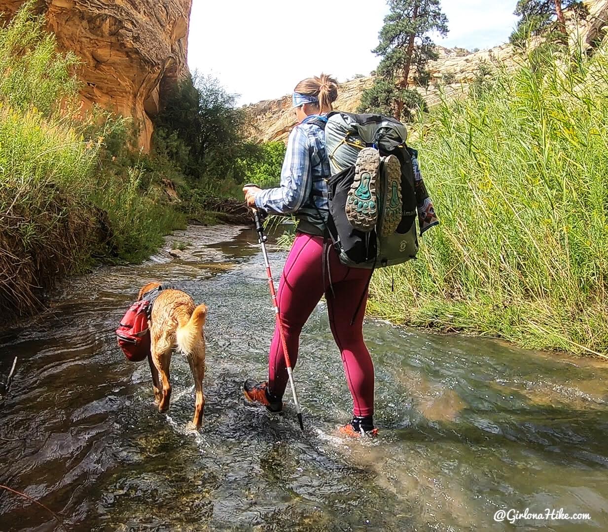 Backpacking Death Hollow, Escalante, Grand Staircase Escalante National Monument