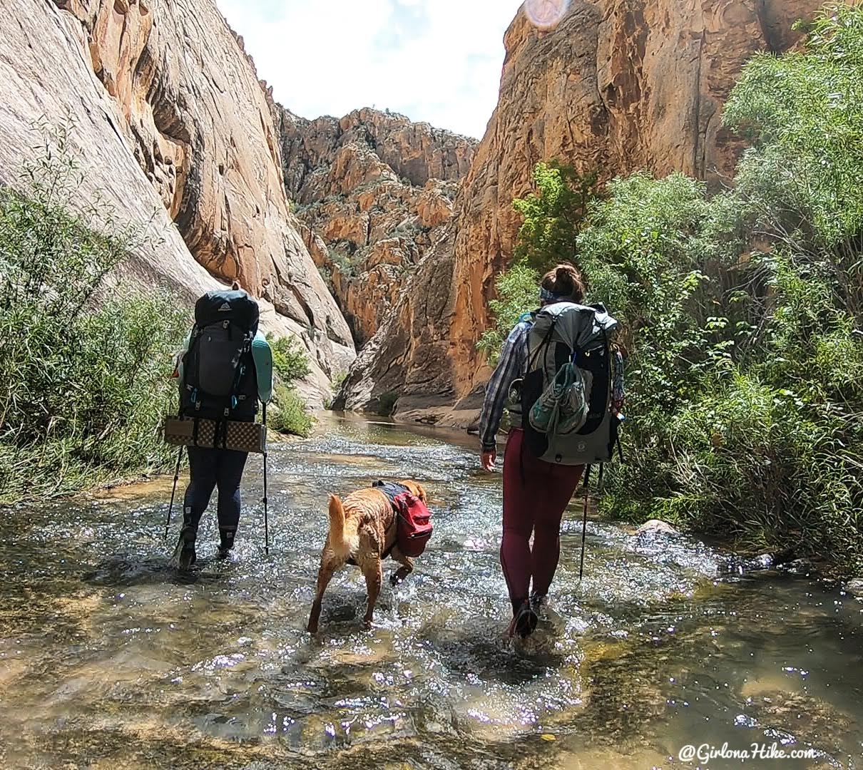 Backpacking Death Hollow, Escalante, Grand Staircase Escalante National Monument