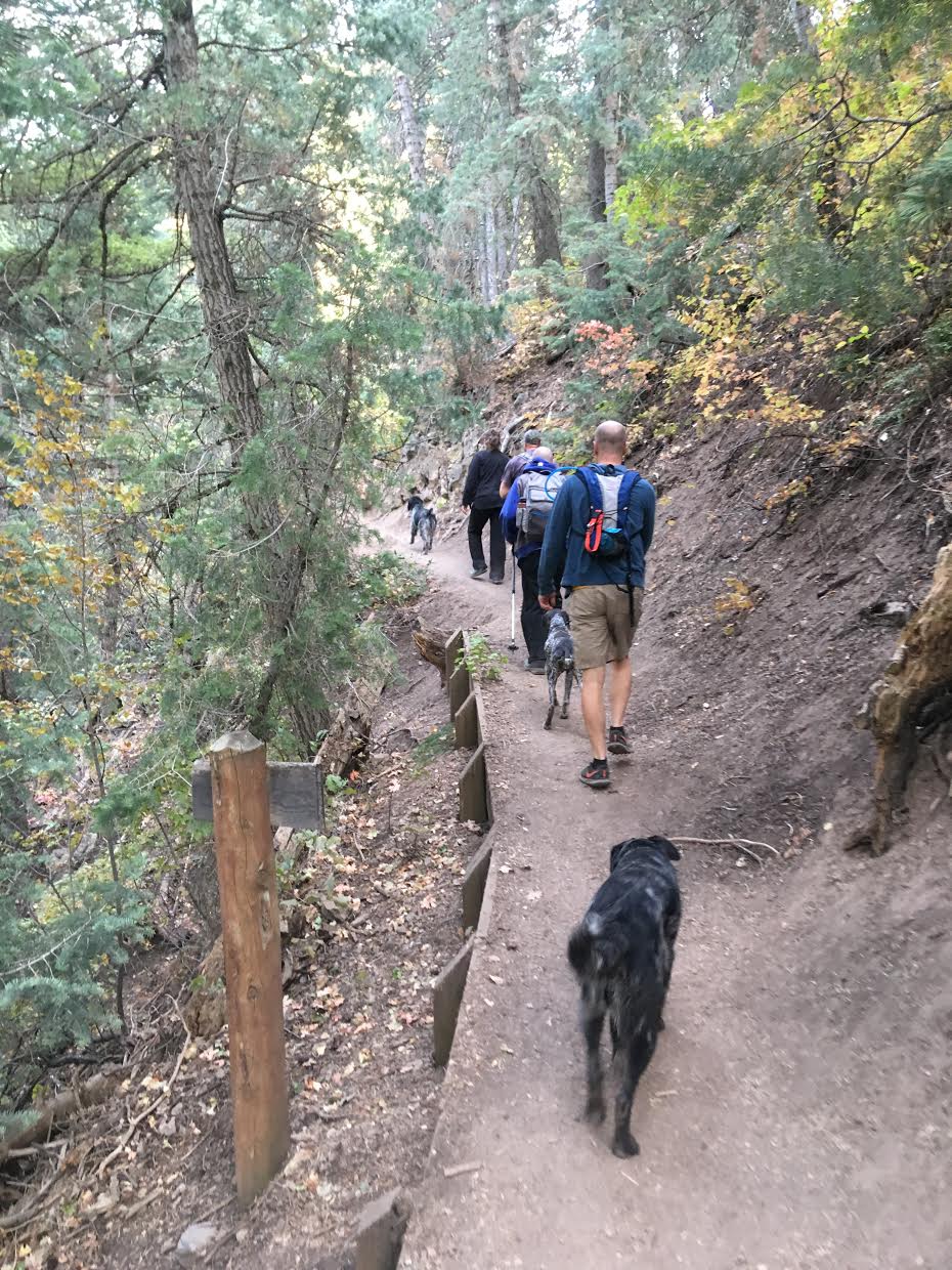 Hiking to Desolation Overlook, Hiking to the Salt Lake Overlook, Millcreek Canyon