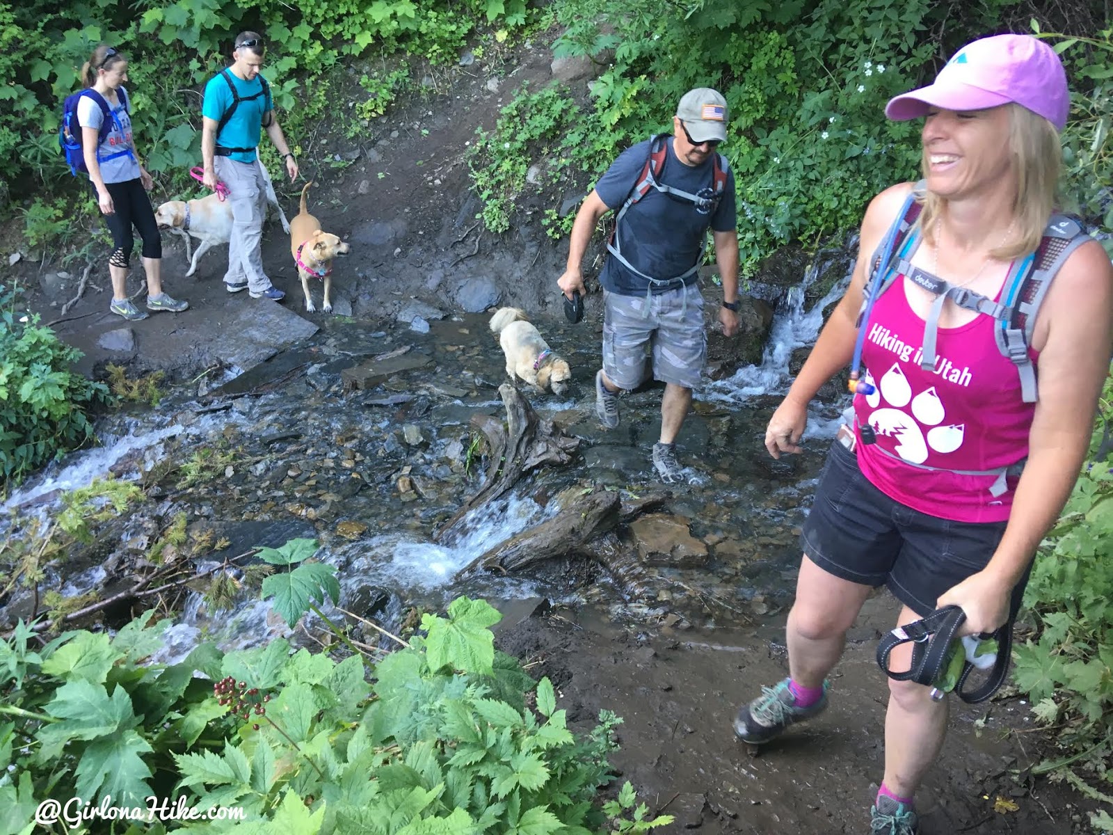 Hiking to Scout Falls - In Summer!