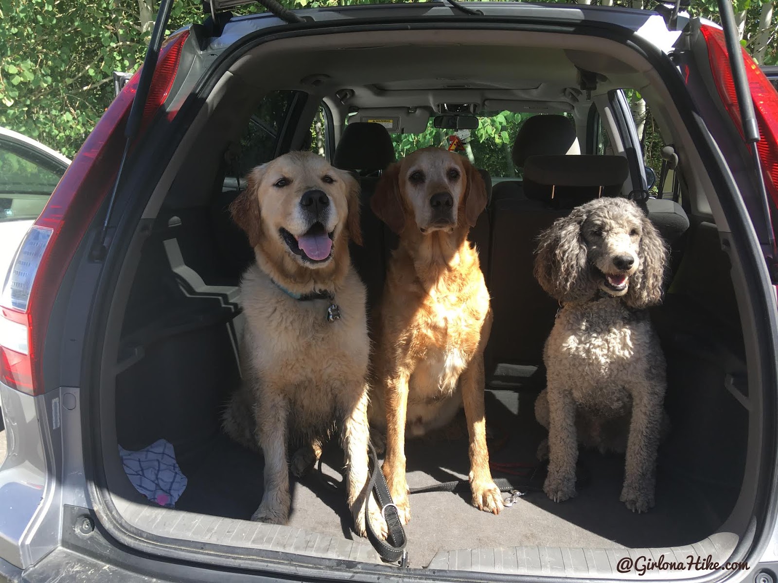 Hiking to Scout Falls - In Summer!