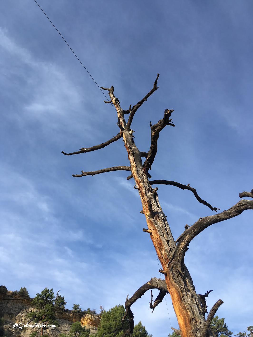 Backpacking Death Hollow, Escalante, Grand Staircase Escalante National Monument