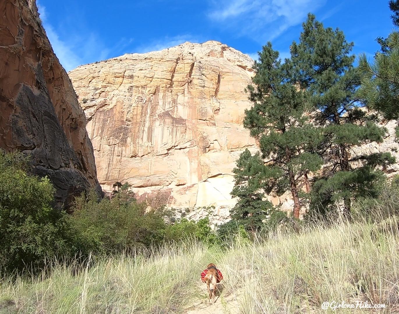 Backpacking Death Hollow, Escalante, Grand Staircase Escalante National Monument