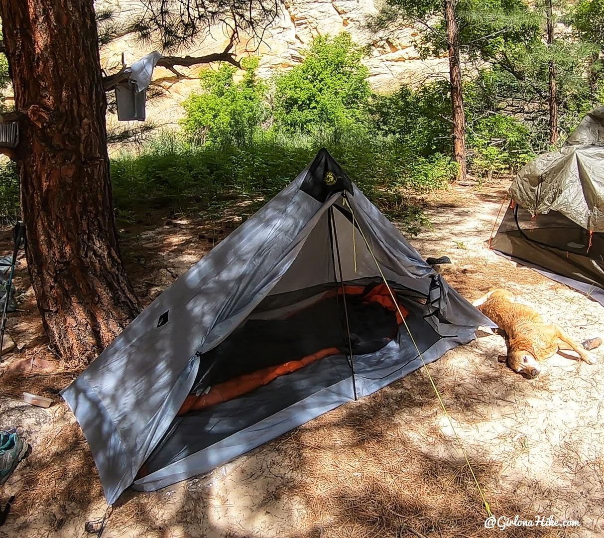 Backpacking Death Hollow, Escalante, Grand Staircase Escalante National Monument