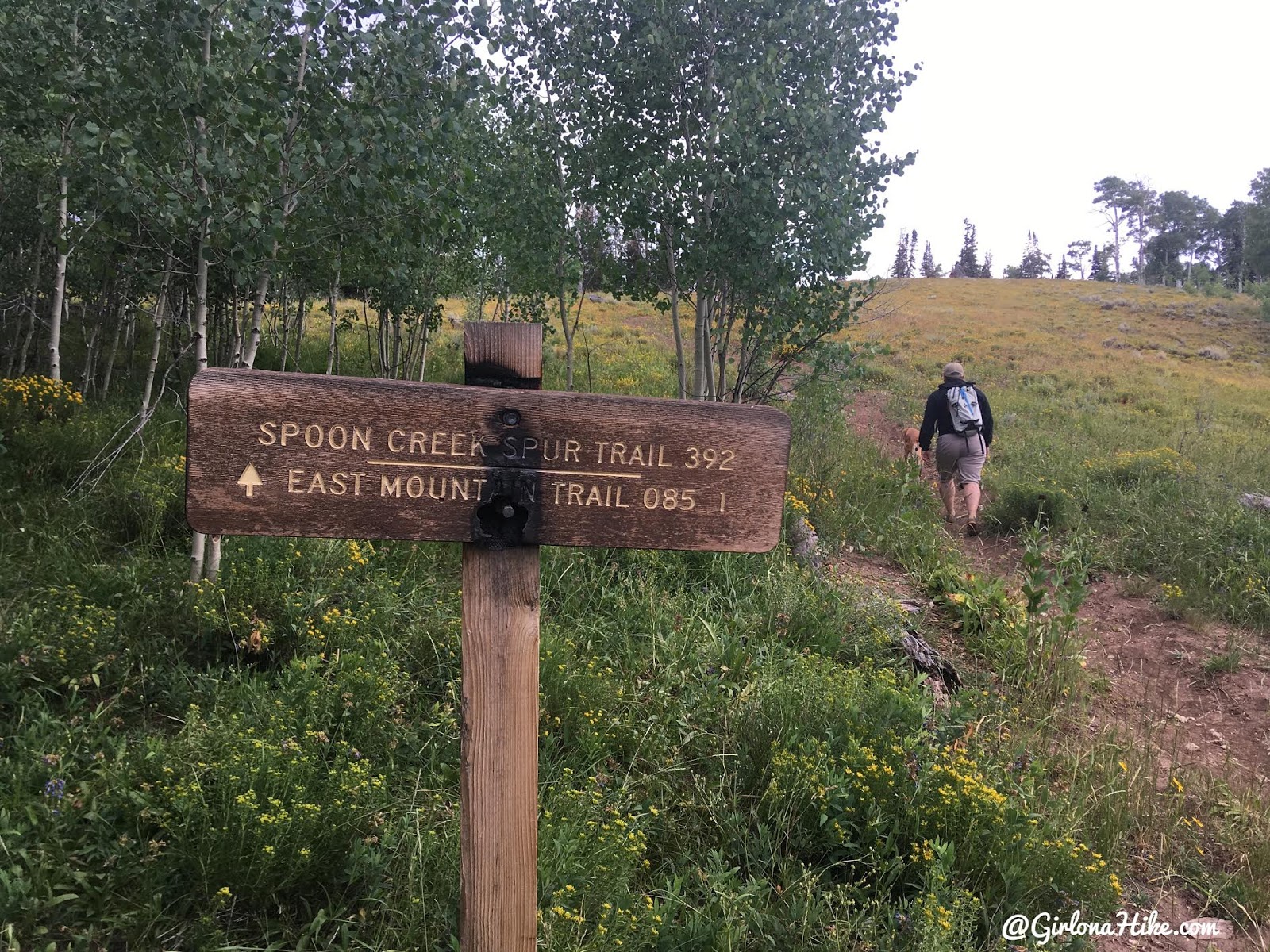 Hiking to East Mountain, Emery County High Point