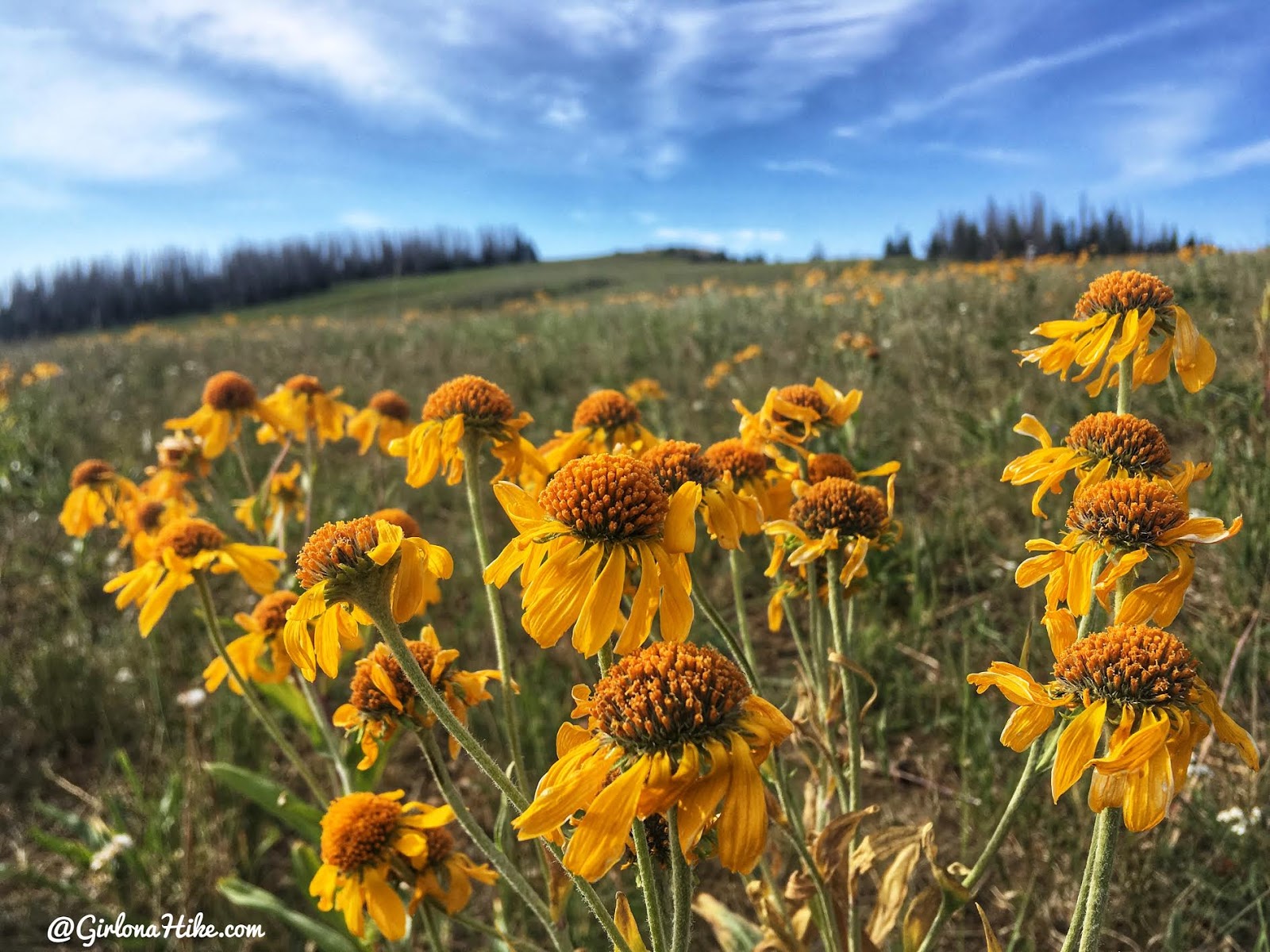 Hiking to East Mountain, Emery County High Point