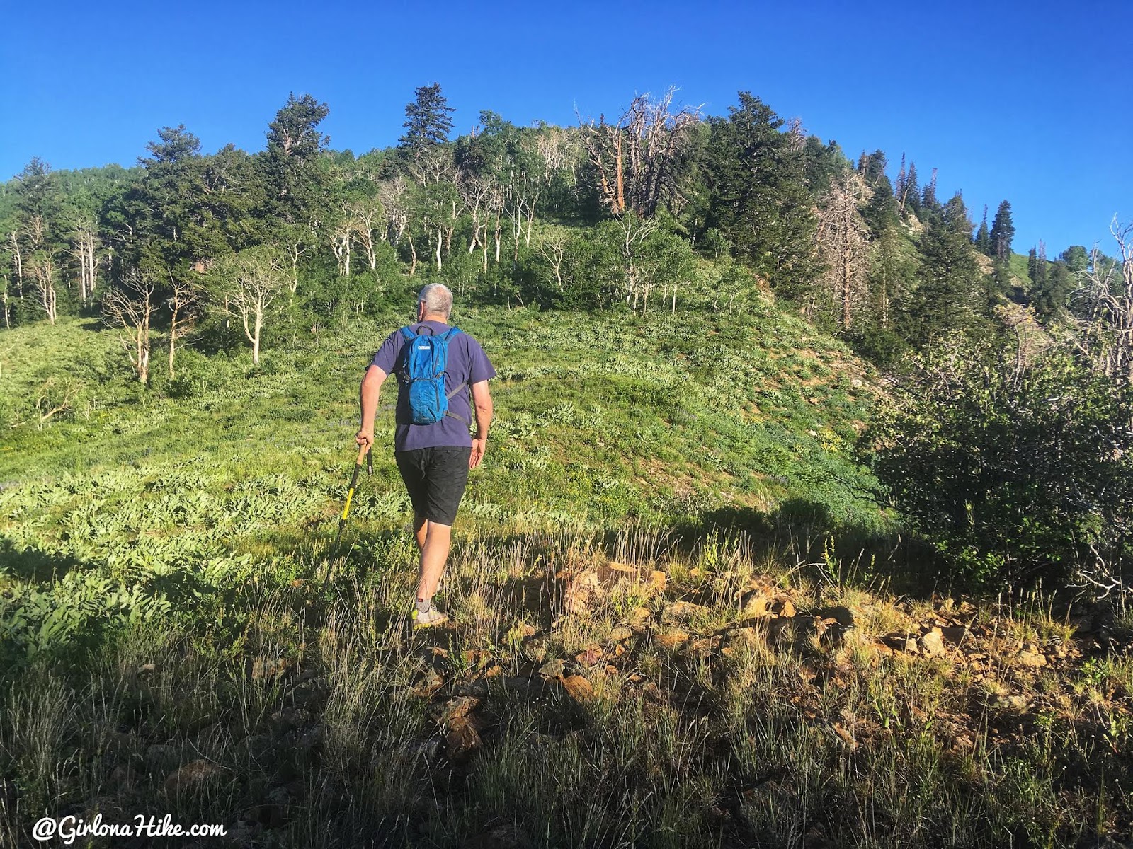 Hiking to Mine Camp Peak, Millard County High Point, Utah county high points